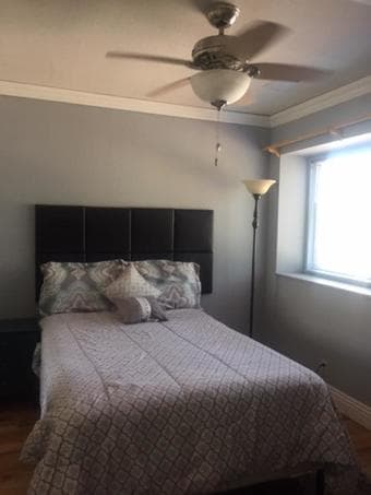 Two Rooms & Bath for rent in North Los Altos house 3