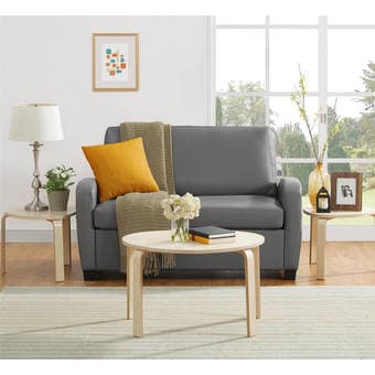 Loveseat sleeper couch 1