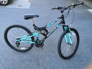 Male Bike 1