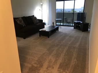 Room Available in Amazing Los Altos Apartment!! 1