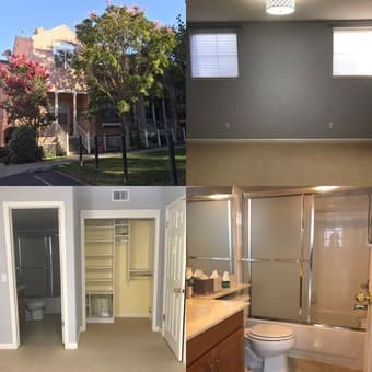 1 Room and Bath in 3 bed/3 bath townhouse (Starting July 2020) 1