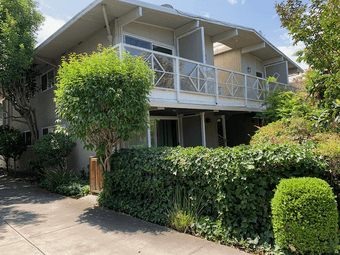 Room available ASAP in downtown Palo Alto apartment w/ pets! 3