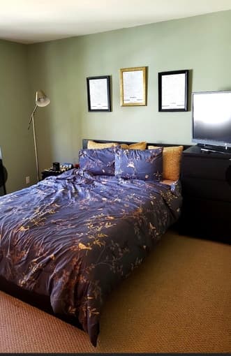 Summer Sublet 1 bed wv private bath available from June 1 - Sep 1 1