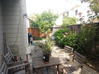 Room in large house by the bay July 1st 1