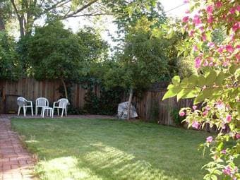 $1480 Newly Remodeled Studio in Palo Alto available now. 1