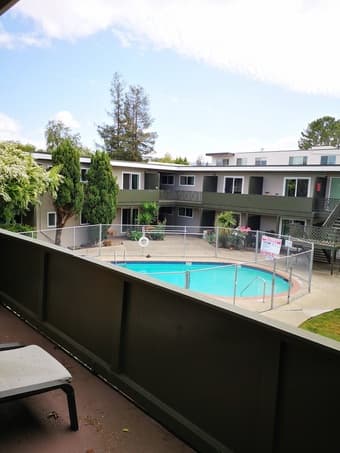Furnished room in 2B1B apartment in Palo Alto, available NOW 2