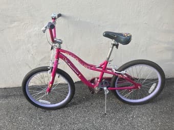 Kids/girls Schwinn 20" bike 1