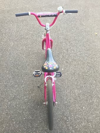 Kids/girls Schwinn 20" bike 3