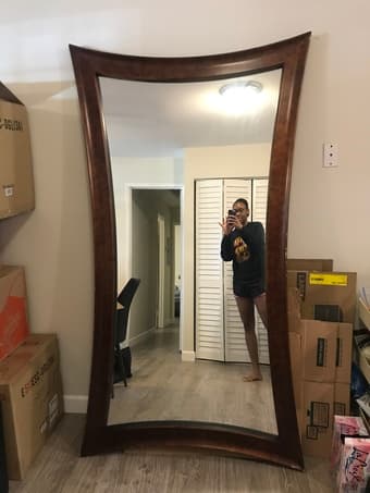 Elegant Large Full Length Mirror 1