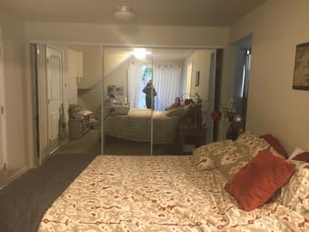 Queen bed + mattress and box spring 1