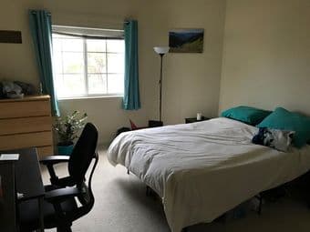 [female only] Master Room With Bathroom in 3B2B Sunnyvale 94085 1