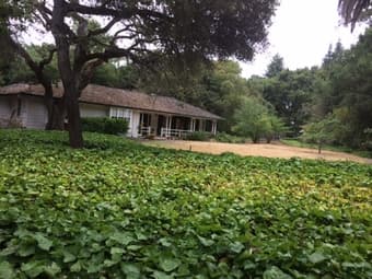 Large Room with Private Bath in Beautiful and Quiet Atherton 2