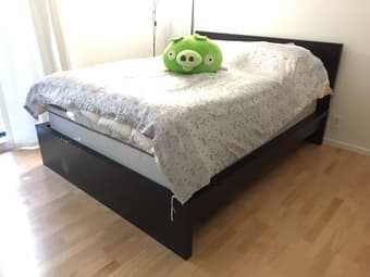 Ikea MALM bed frame (queen) + Sealy firm mattress + box spring 1