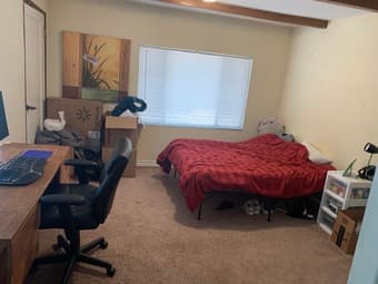 Huge master bedroom in spacious 4bd house, Midtown PA 1