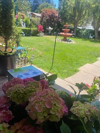 Los Altos Room for Rent Available 7/26 2