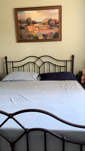 Queen Bedframe and Mattress 1