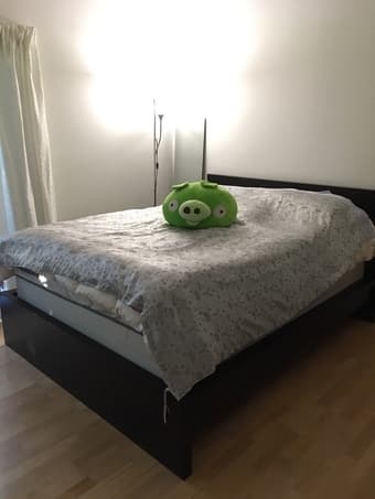 Ikea black bed frame (queen) + Sealy firm mattress + box spring 1