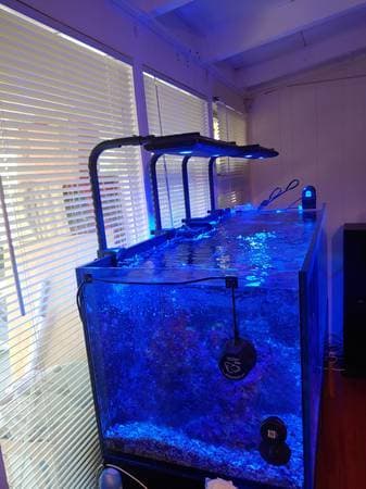 RedSea Reefer XL525 + Aquarium Essentials 2