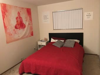 Queen sized classy dark brown bed frame and mattress 1