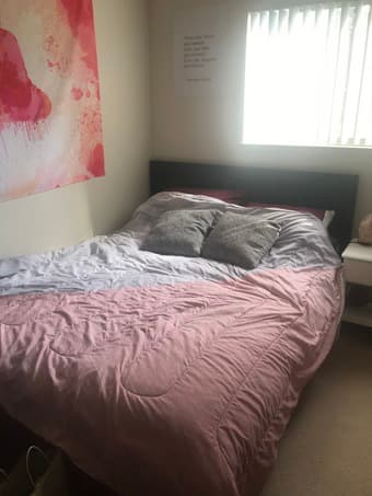 Queen sized classy dark brown bed frame and mattress 3