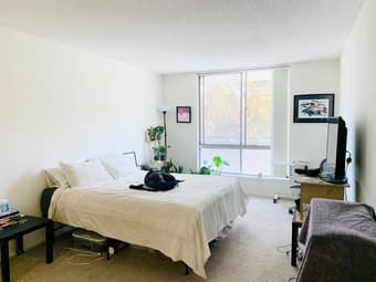 Large Private Room in Spacious, Quiet 3BD/2BA Apartment 1