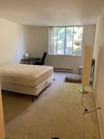 Free well-maintained Queen Size mattress and frame 2