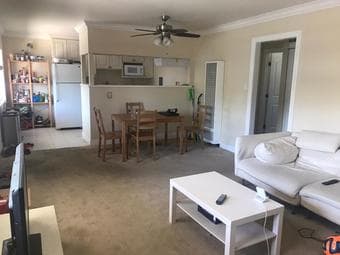 $1375 room in 2 bed 1 bath apartment in midtown (palo alto) 1