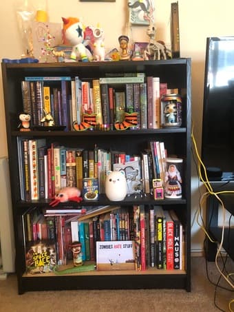 Bookshelves 1