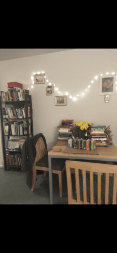 Bookshelves for Sale 1