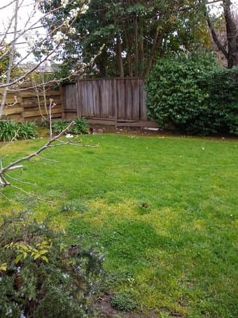 Room Opening in Spacious Palo Alto House (Move-In  August – 1st Sept) 3