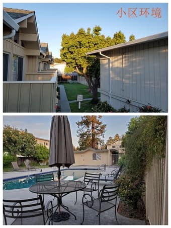 罕有物美价廉复式两层Town house @Mountain view  2B 1.5B招舍友(update) 1