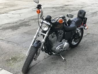 1999 Harley-Davidson Sportster 883 2