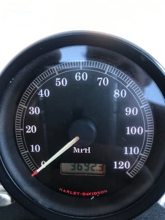 1999 Harley-Davidson Sportster 883 3