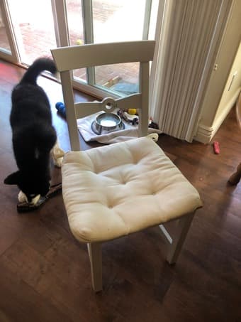 Three IKEA chairs and seat cushions 3