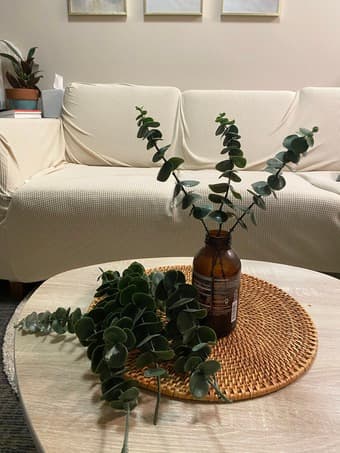Faux eucalyptus for home decor 1