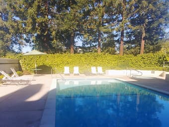 Private bed&bath in 2B2B luxury apt (3rd floor) Palo Alto - female 3