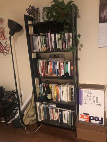 IKEA Laiva Bookshelf 1