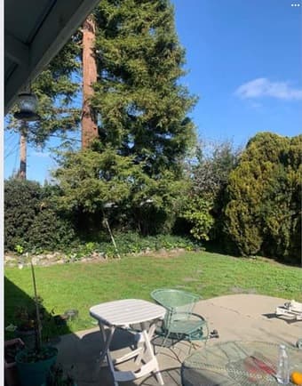 One room available 3/2 house , Palo Alto 1