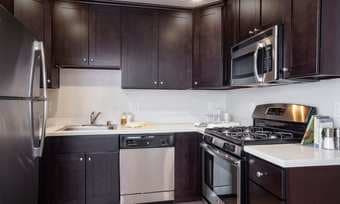 Luxurious 1BHK 2