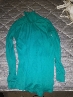 Turtleneck sweaters 1