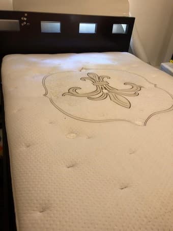 Queen Mattress and Bed 1