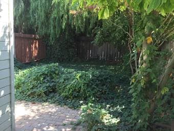 Charming studio/in-law home with private yard/garden in Mountain View 3