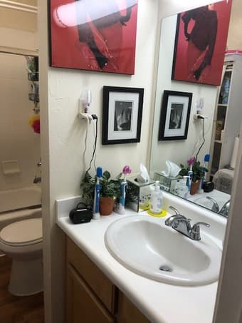 Bright Sunny Furnished Shared Apt 3
