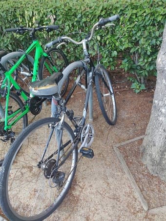 Moving Sale - Bike 1
