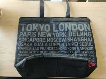 Moving Sale - Insulated Lunch Tote 1
