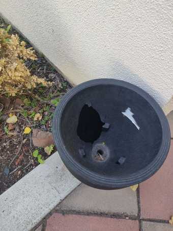 Moving Sale- BIG PLANTER (~40 inches) 2