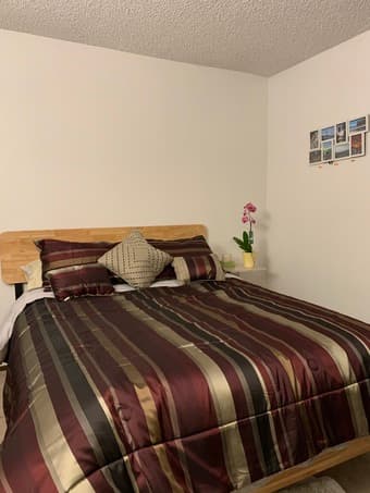 Quiet Cul-de-Sac Rooms in Mountain View 2