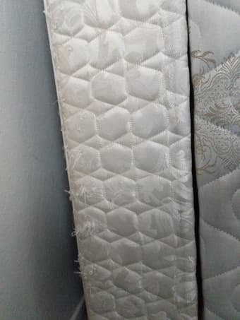 Free twin mattresses and box springs 1
