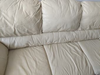 Free Leather Couch 2
