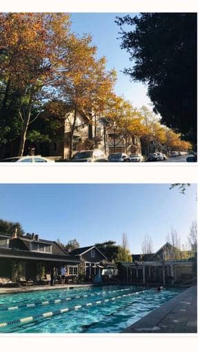 Title: Look for a Female roommate to share a 2B2B apt at Stanford West 1